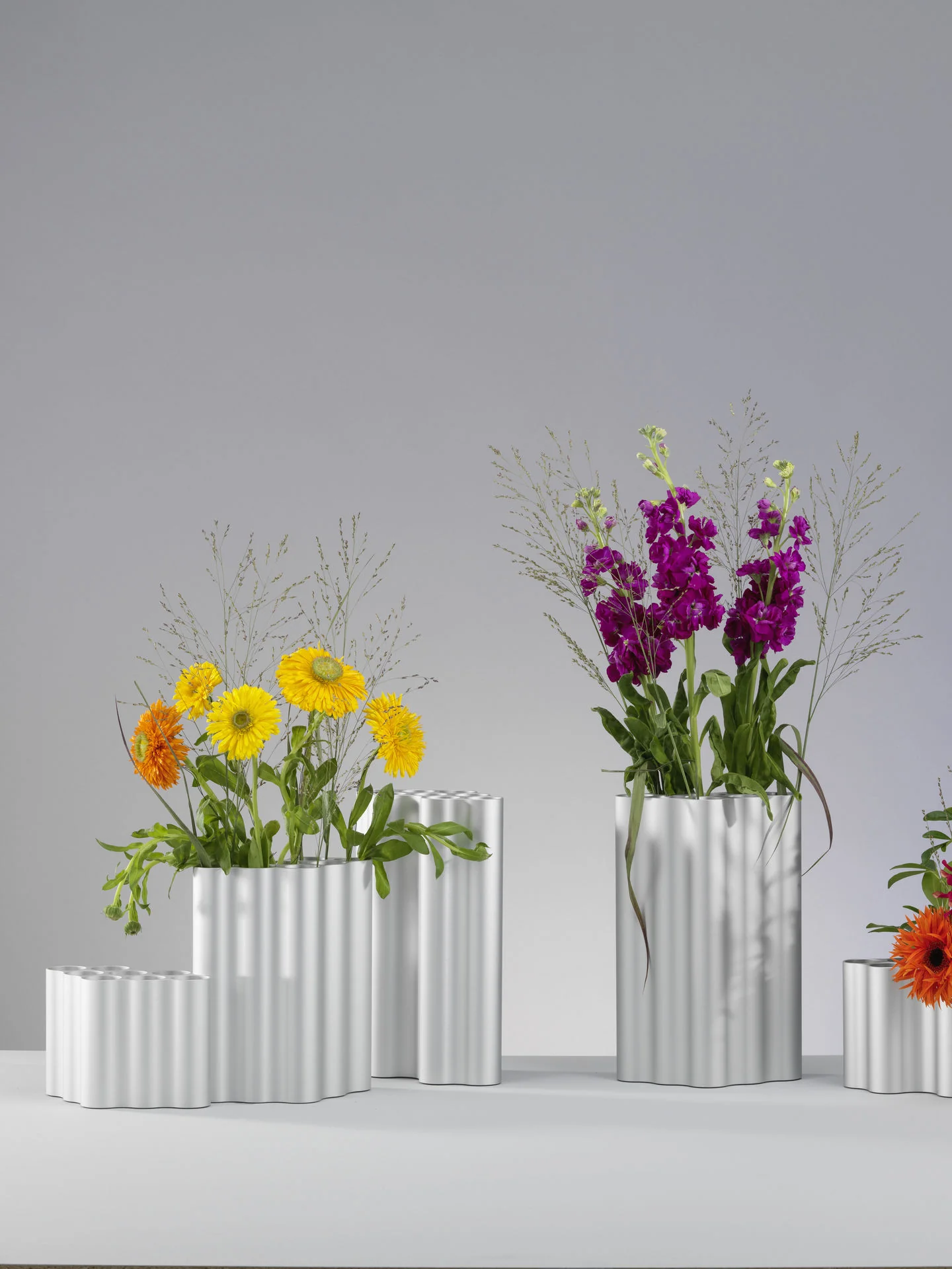 Miniatuur 2